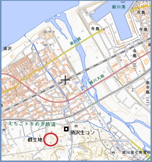 須沢地図