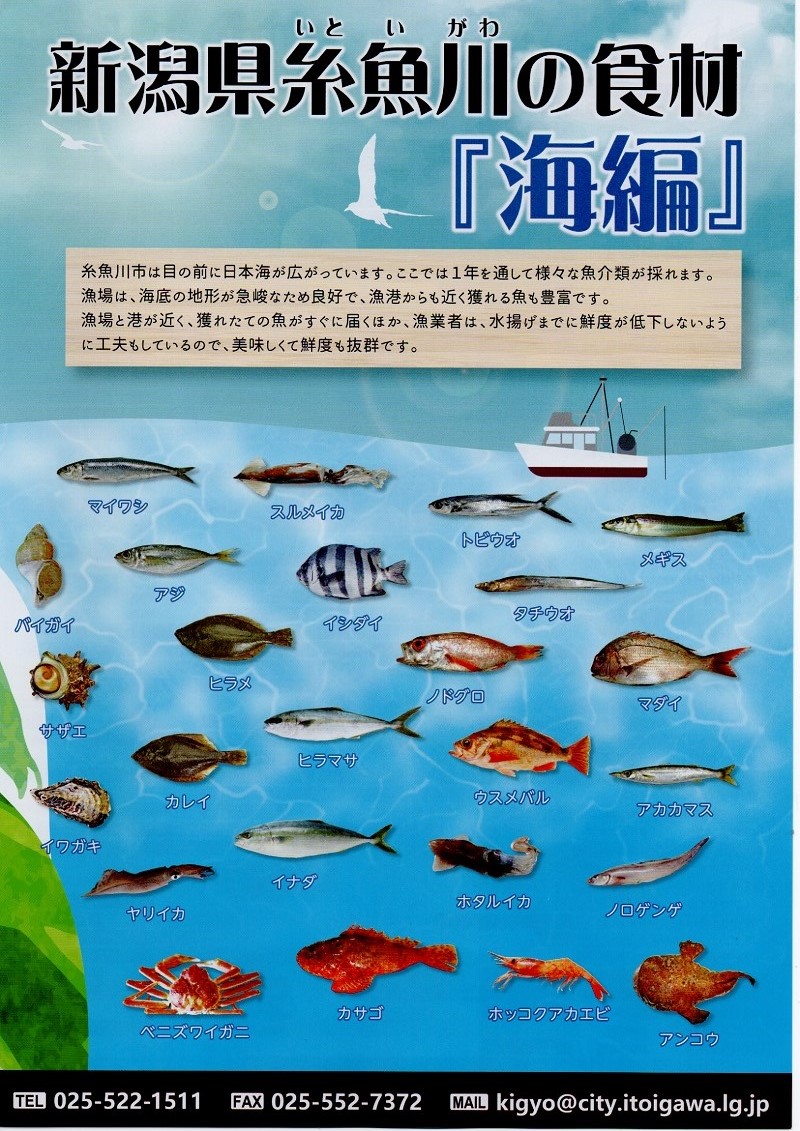 糸魚川海の幸１
